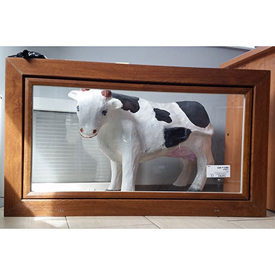 PVC lopkopības logi, govju kūts, moskītu tīkli, ražotājs Polija